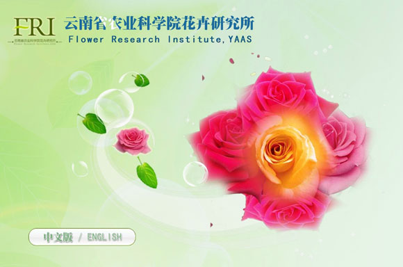 昆明網(wǎng)站建設(shè)案例,云南省農(nóng)業(yè)科學(xué)院花卉研究所